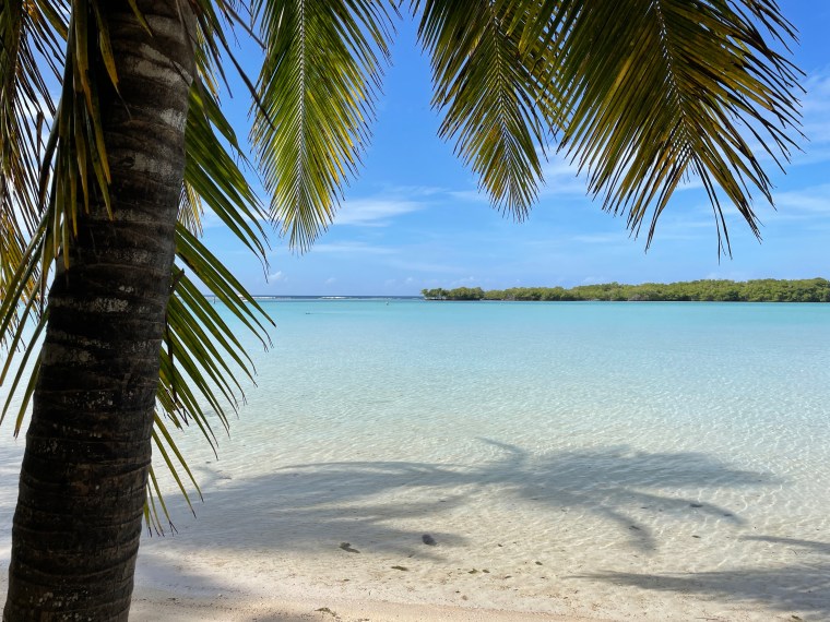 Another Island In The&nbsp;Sun