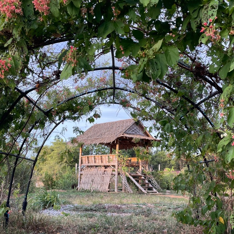 Another Tale Of Paws And&nbsp;Tails