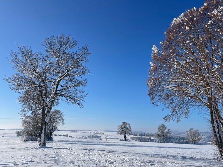 Be Careful What You Wish&nbsp;For