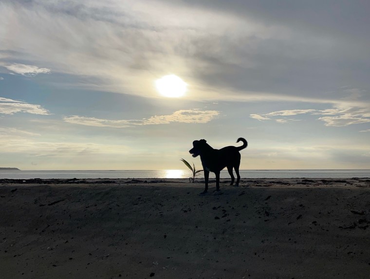 It’s A Kind Of&nbsp;Magic